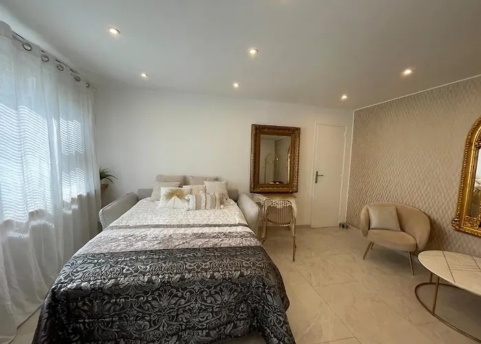 Les Miroirs D Alsace Апартаменты Страсбург